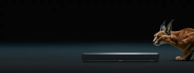 مومنتوم سبورتس