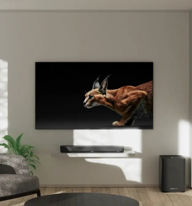 مومنتوم سبورت - الصورة 02