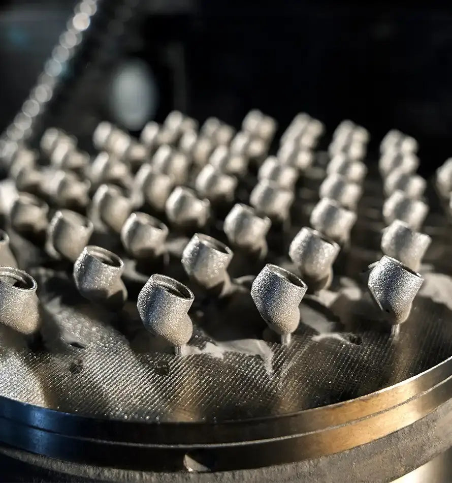 مومنتوم سبورت - الصورة 02